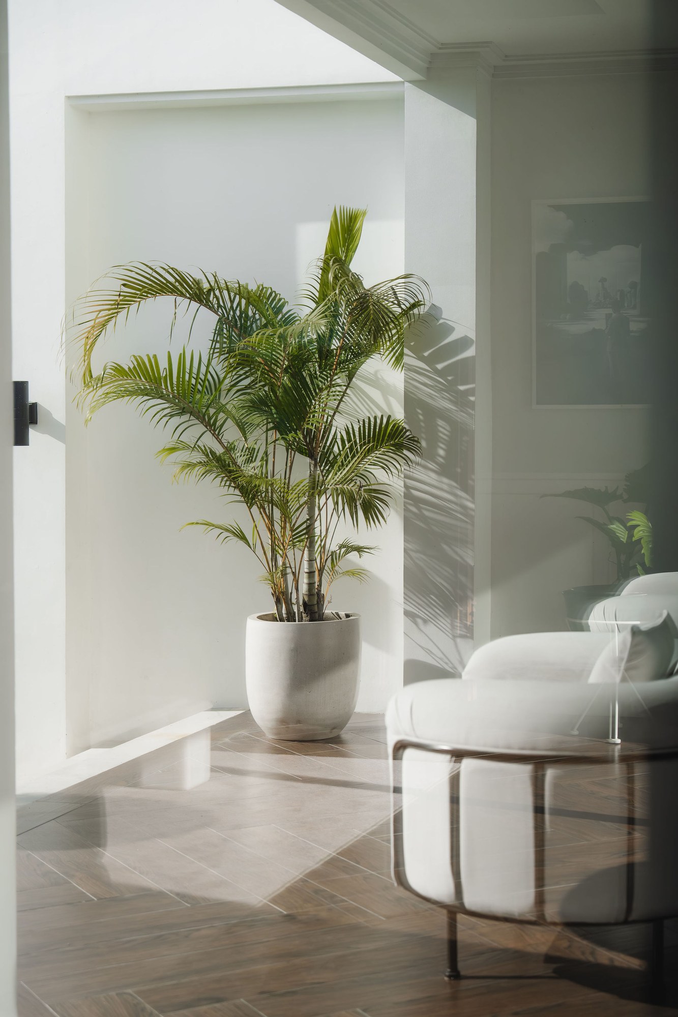 Tropical interior at Mayfair Place