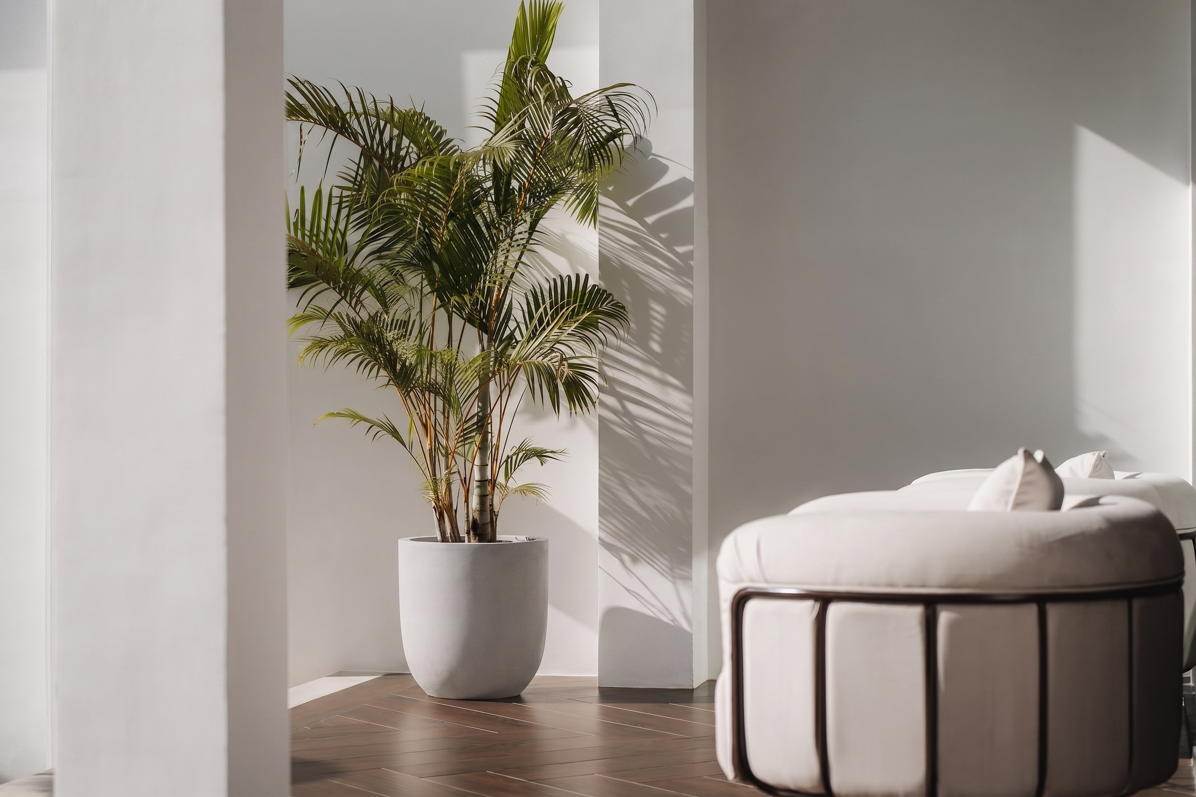 Light and space at Mayfair Place